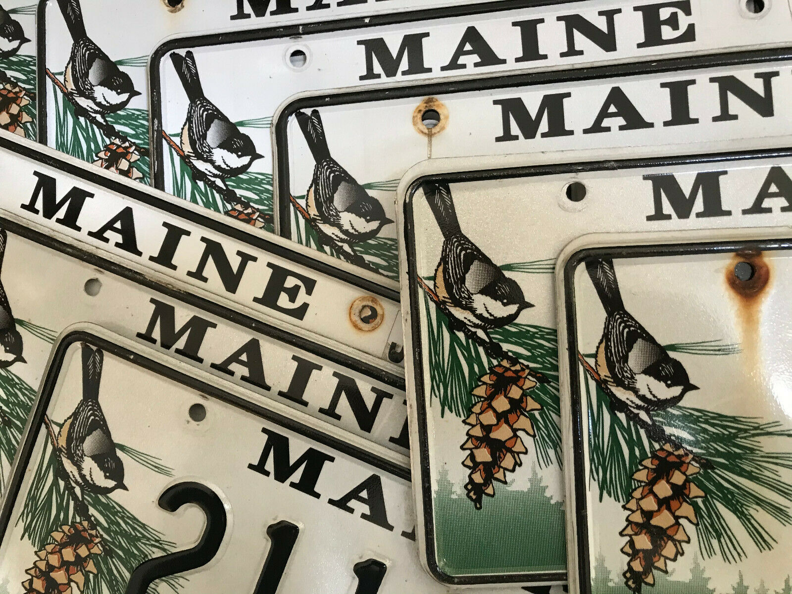 (choice) Maine License Plate "vacationland" Chickadee Pine Cone Wildlife