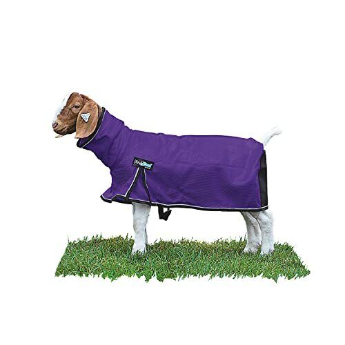 Weaver Leather Livestock Procool Mesh Goat Blanket With Reflective Piping Pur...
