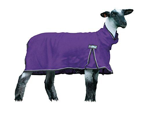 Weaver Leather Livestock Procool Mesh Sheep Blanket With Reflective Piping